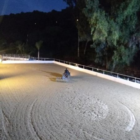 Riyadh House Marbella Διαμέρισμα Εξωτερικό φωτογραφία